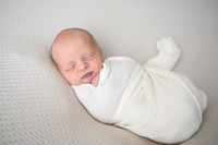 Newborn Rex
