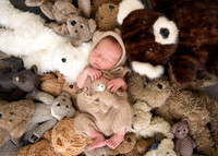 Newborn Rylan
